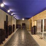 Visita Cantina Ascheri con Degustazione di Vini